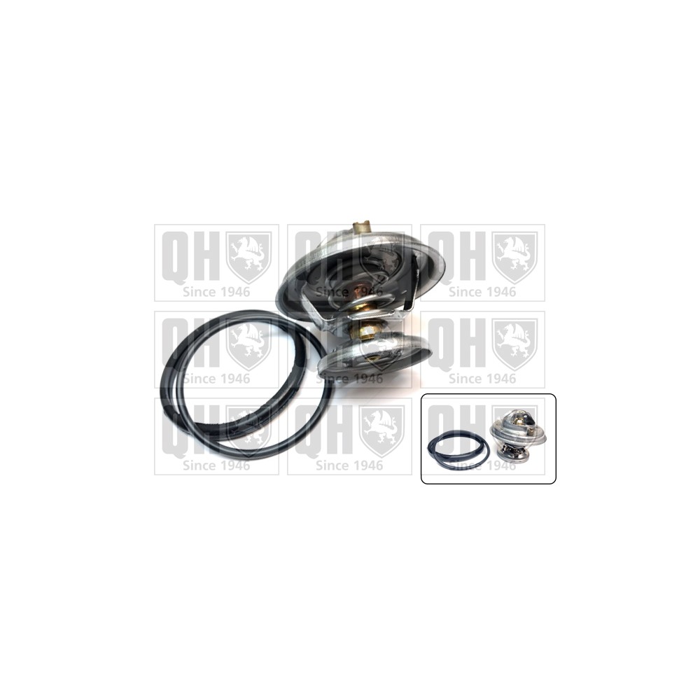 Image for QH QTH295K Thermostat Kit