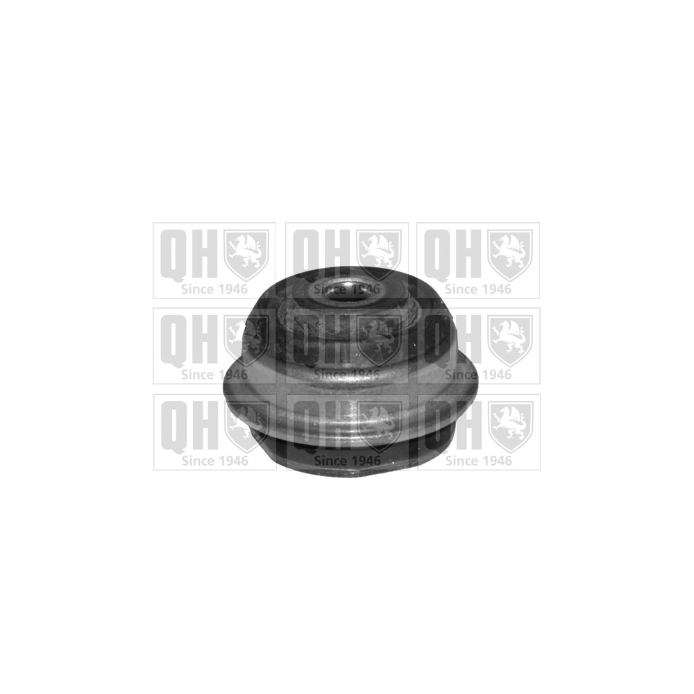 Image for QH EMS4091 Suspension Arm Bush - Rear Lower LH & RH (Front)