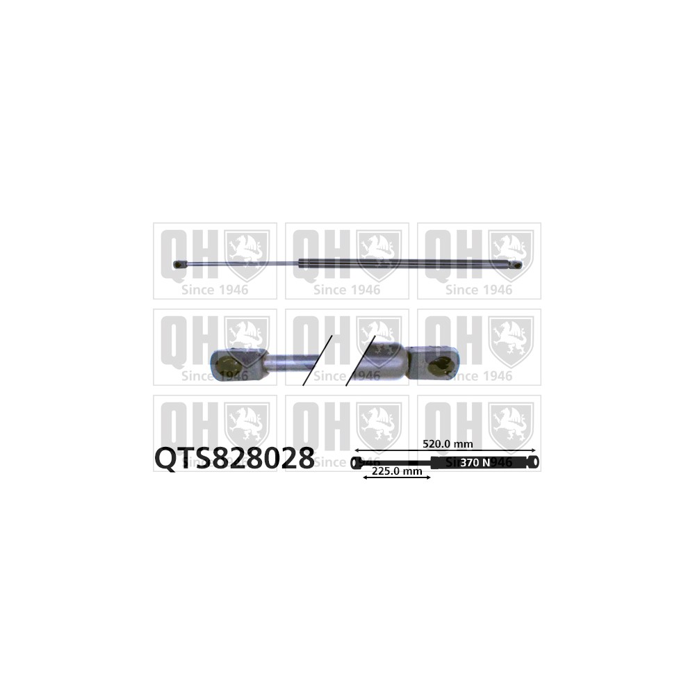 Image for QH QTS828028 Gas Spring