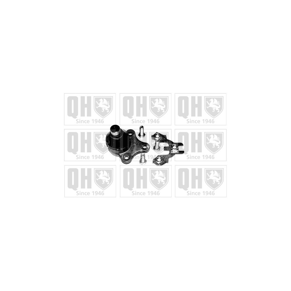 Image for QH QSJ996S Ball Joint - Front Lower LH & RH