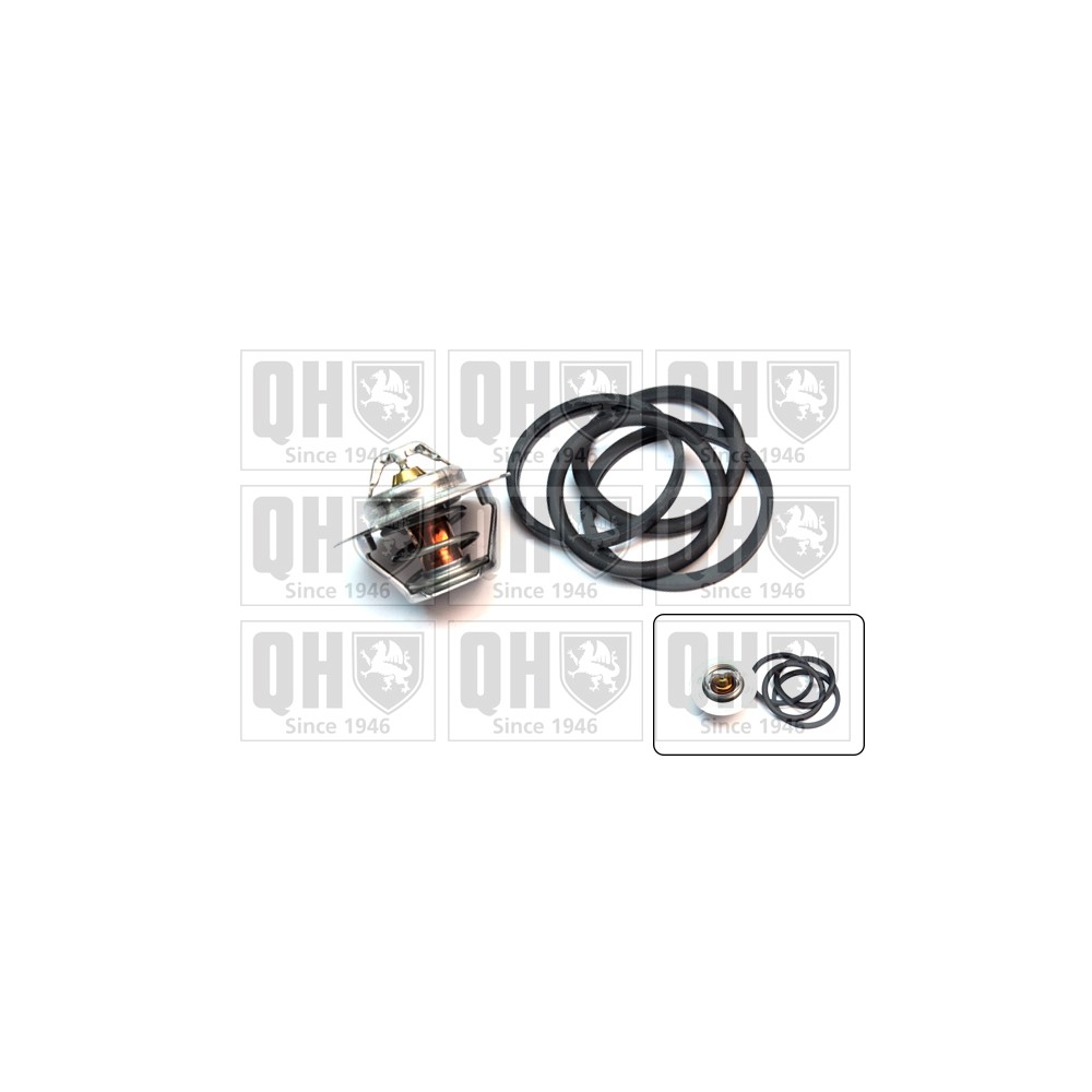 Image for QH QTH355K Thermostat Kit