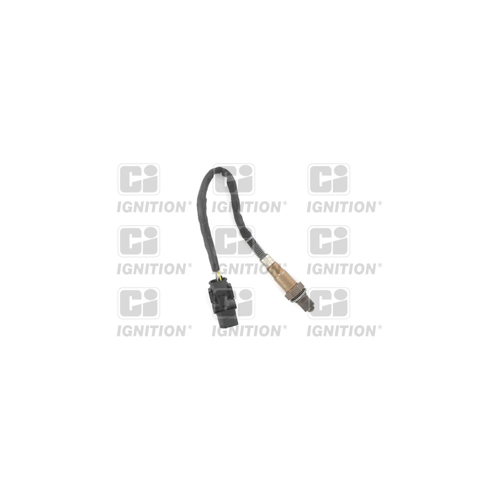 Image for Oxygen Sensor