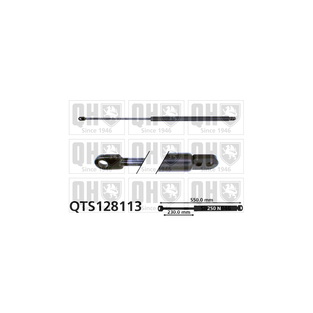 Image for QH QTS128113 Gas Spring