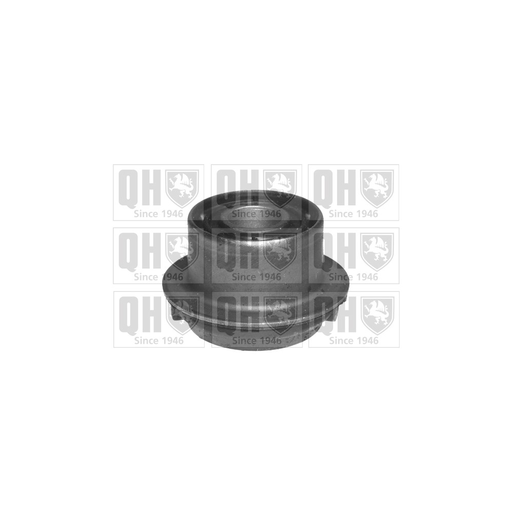 Image for QH EMS8143 Suspension Arm Bush - Front Lower LH & RH (Front)