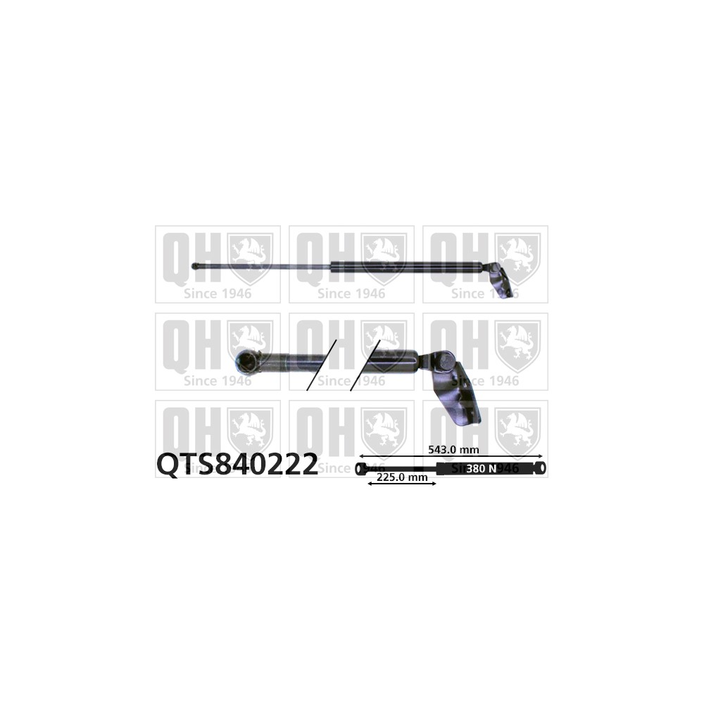 Image for QH QTS840222 Gas Spring