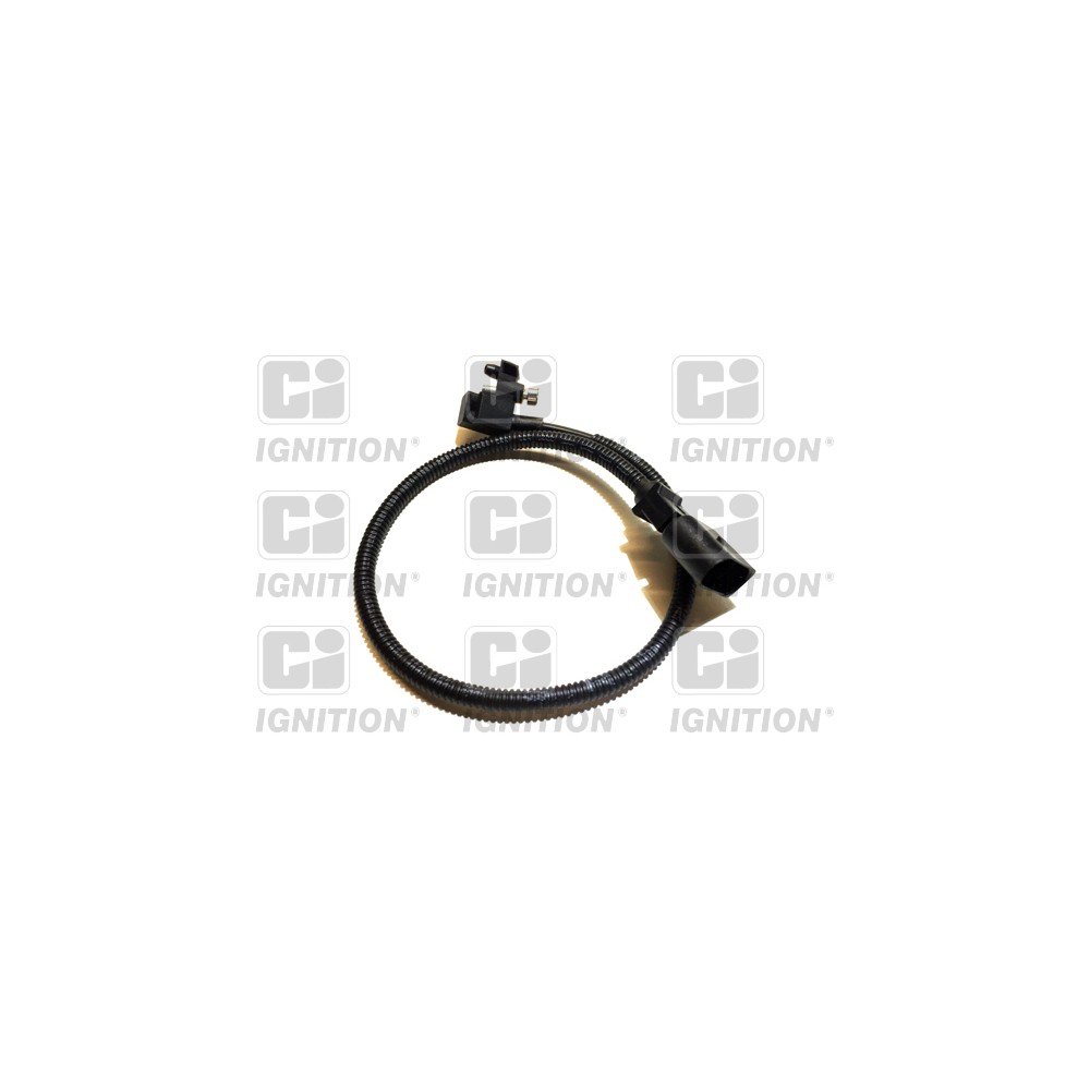 Image for CI XREV638 Crank Sensor