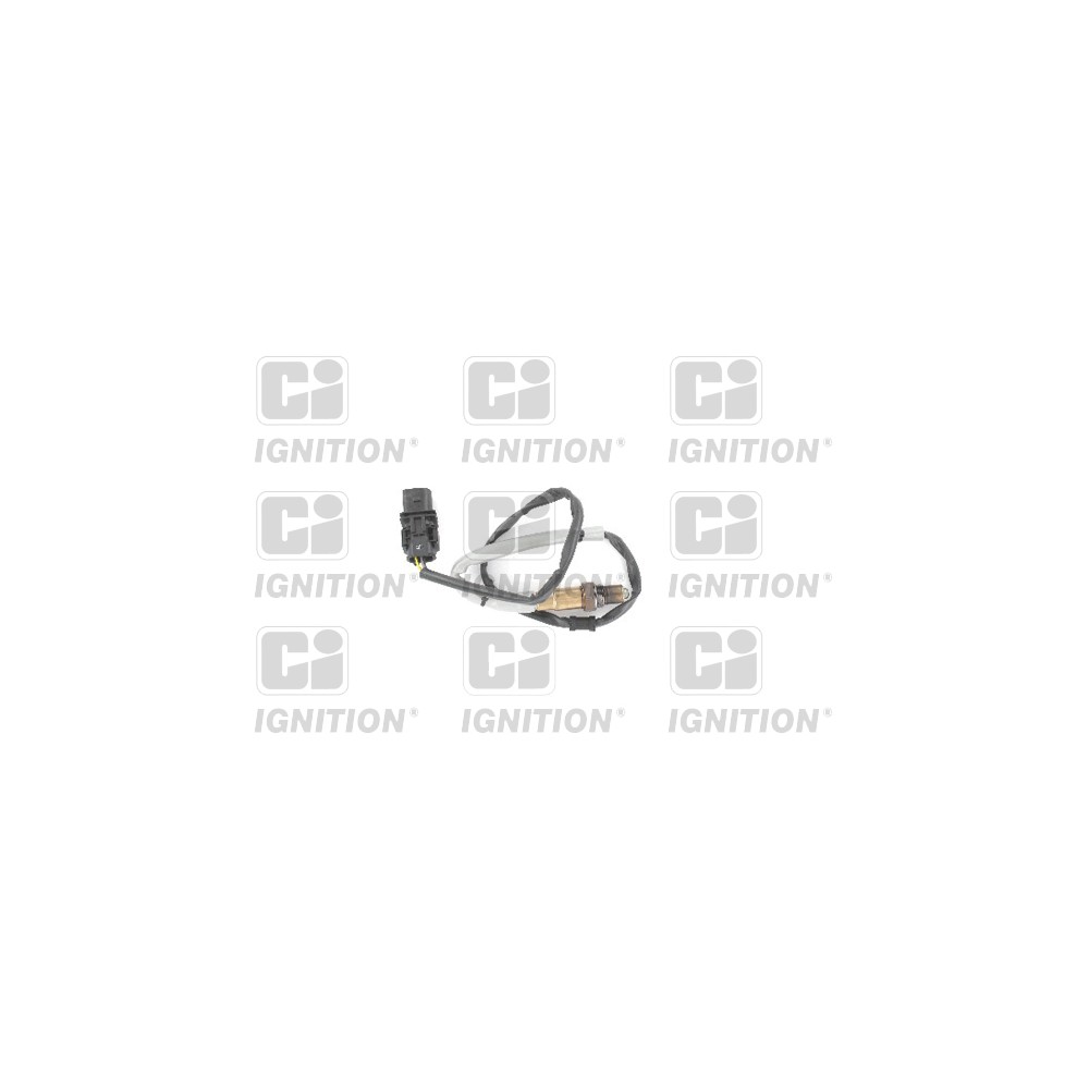 Image for Oxygen Sensor