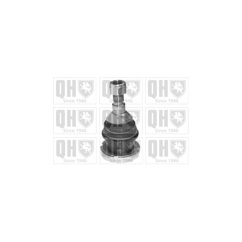 Image for QH QSJ3425S Ball Joint - Front Lower LH & RH