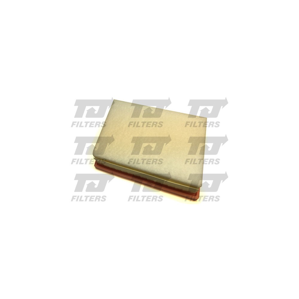 Image for TJ QFA0968 Air Filter