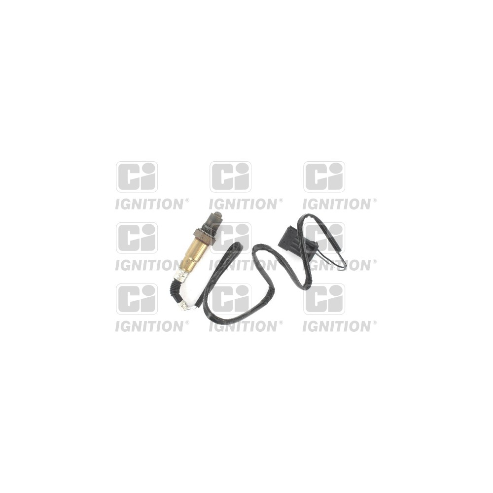 Image for Oxygen Sensor