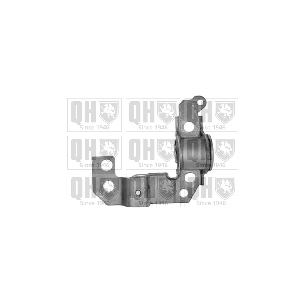 Image for QH EMS8035 Suspension Arm Bush - Front Lower RH (Rear)