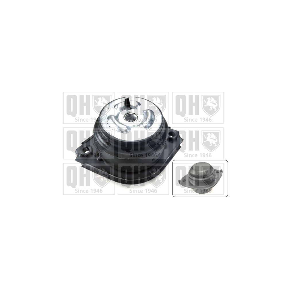 Image for QH EM4788 Engine Mounting