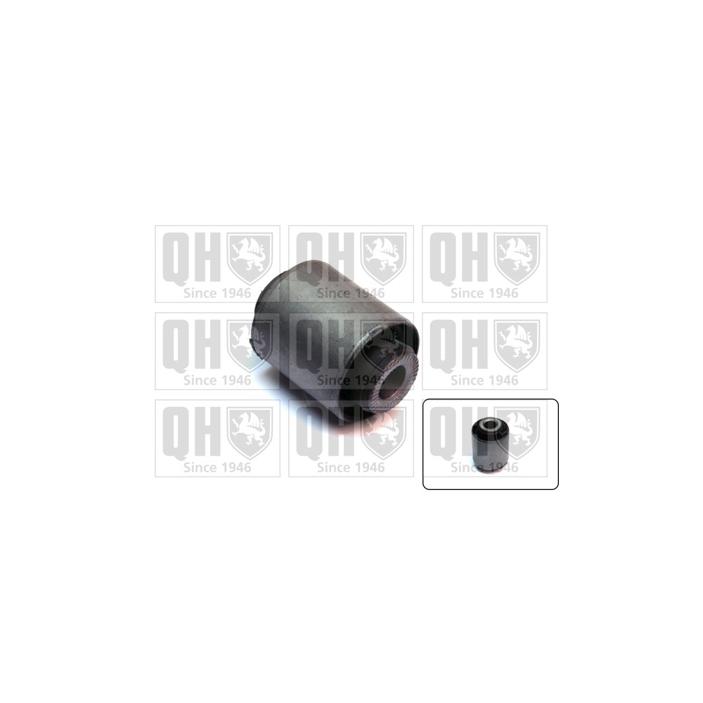 Image for QH EMS8541 Suspension Arm Bush - Front Lower LH & RH (Front)