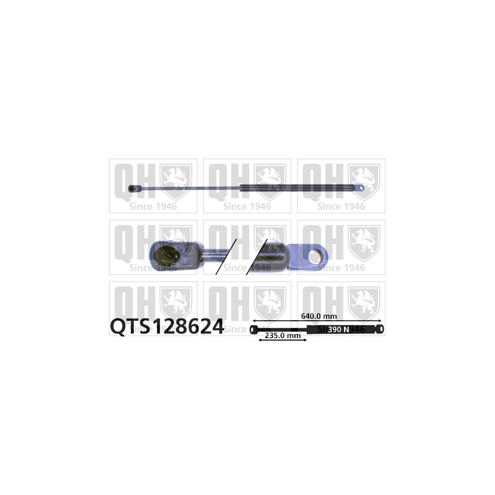 Image for QH QTS128624 Gas Spring