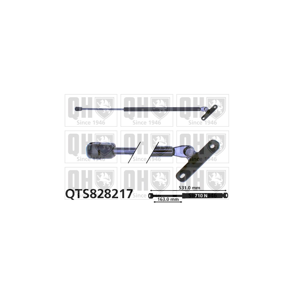 Image for QH QTS828217 Gas Spring