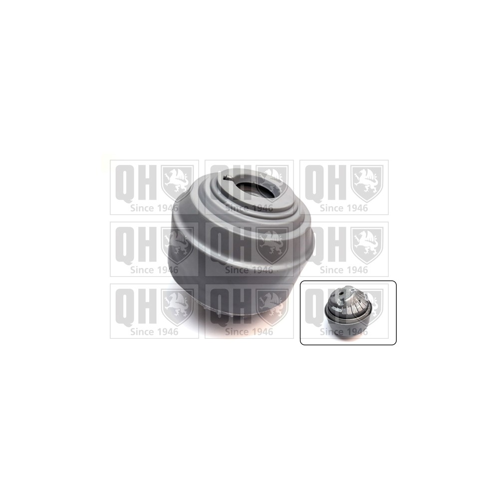 Image for QH EM4800 Engine Mounting