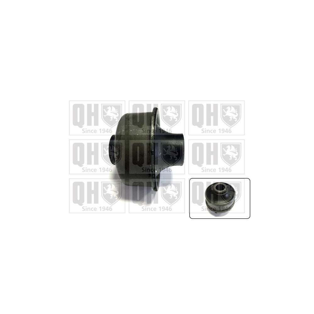 Image for QH EMS1865 Suspension Arm Bush - Front Lower LH & RH (Rear)