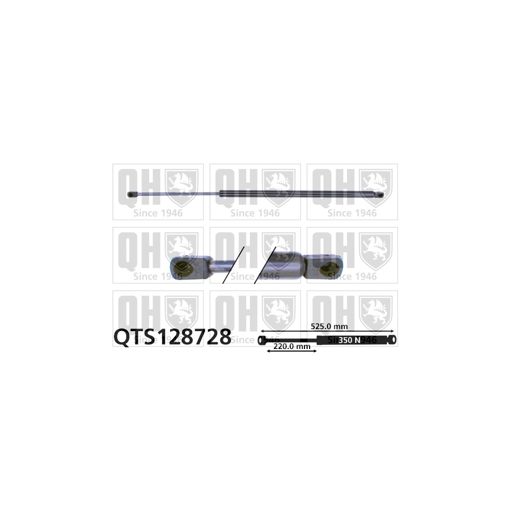 Image for QH QTS128728 Gas Spring