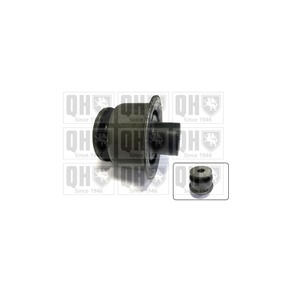 Image for QH EMS8242 Suspension Arm Bush - Front Lower LH & RH (Rear)