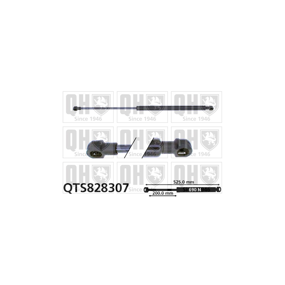 Image for QH QTS828307 Gas Spring