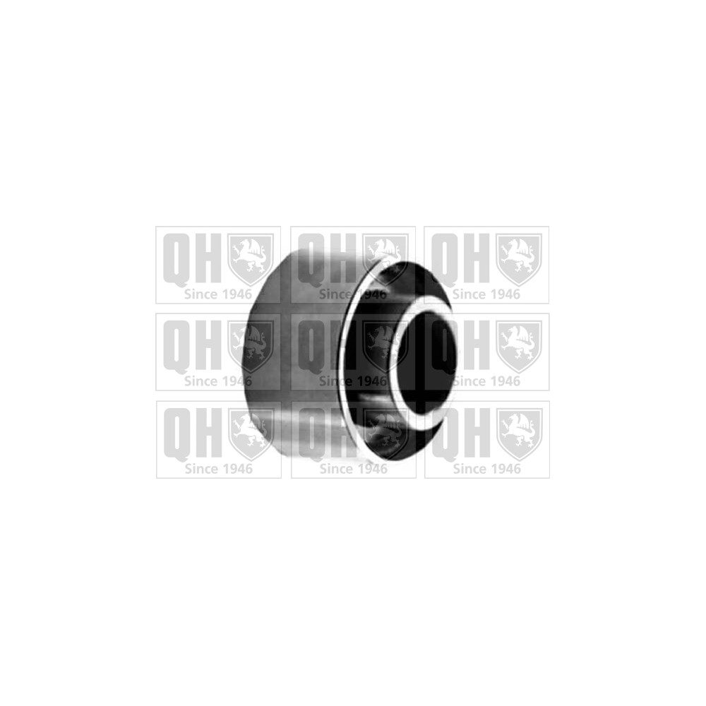 Image for QH QTT361 Timing Belt Tensioner