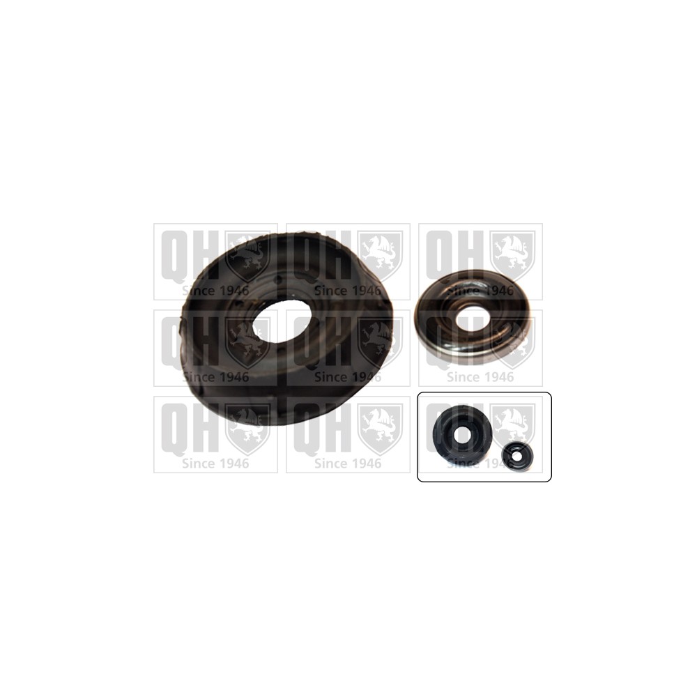 Image for QH EMA6014 Top Strut Mounting - Front inc.Bearing LH & RH