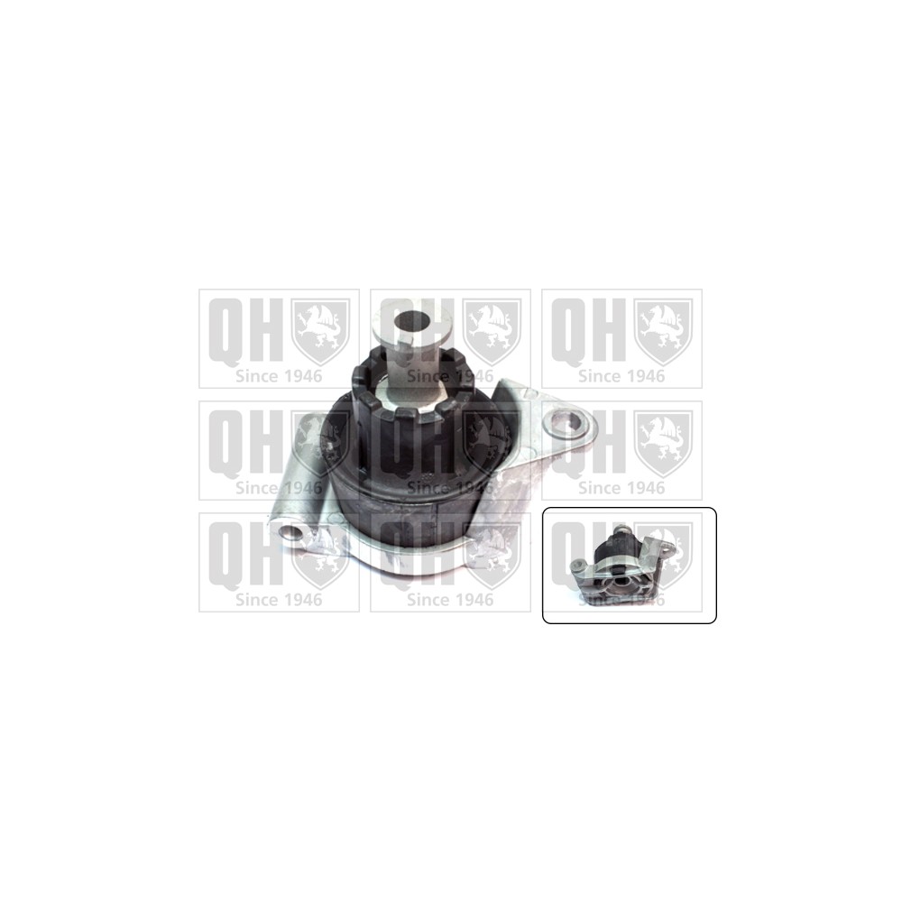 Image for QH EM4118 Engine Mounting