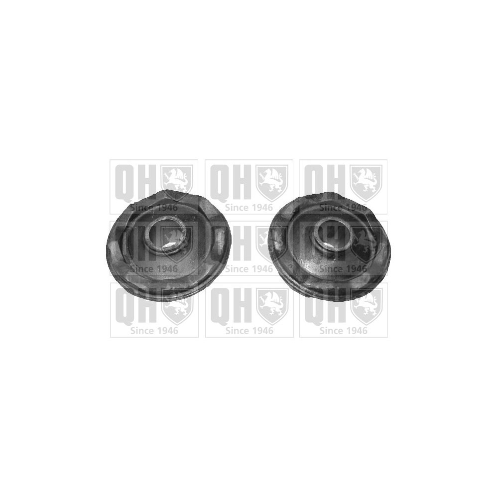 Image for QH QSK220S Suspension Arm Bush - Front Lower LH & RH (Outer)