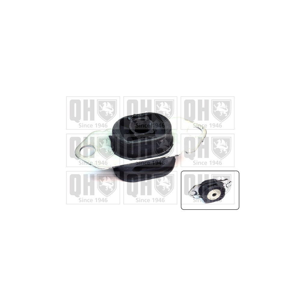 Image for QH EM4669 Engine Mounting