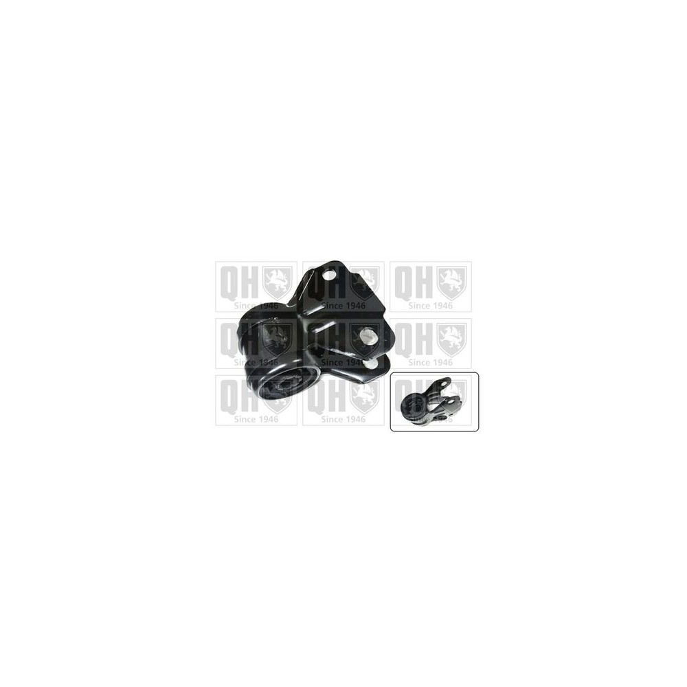 Image for QH EMS8703 Suspension Arm Bush