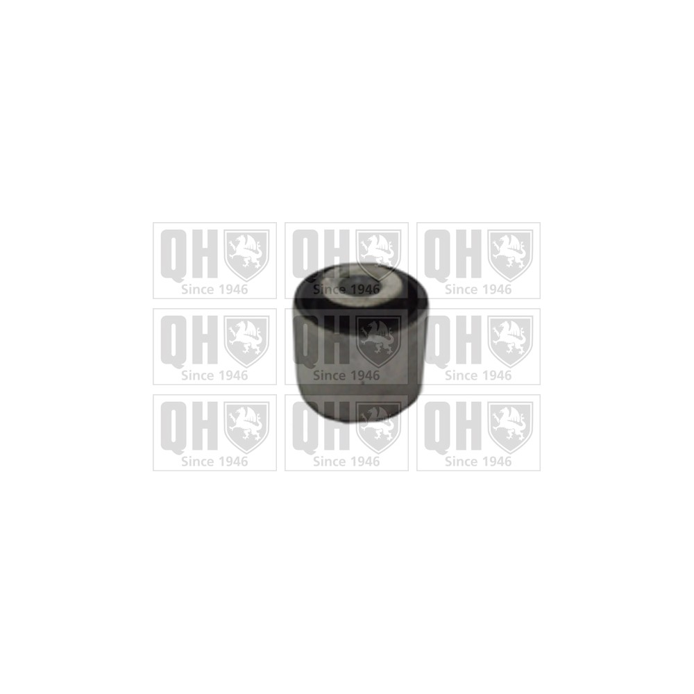 Image for QH EMS8487 Suspension Arm Bush - Rear Lower LH & RH (Inner)