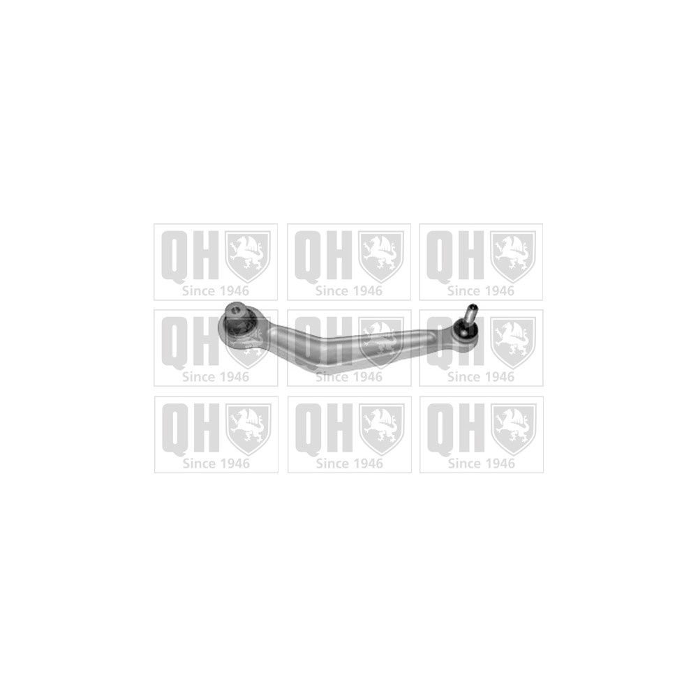 Image for QH QSJ3347S Suspension Arm - Rear Upper RH (Rear)