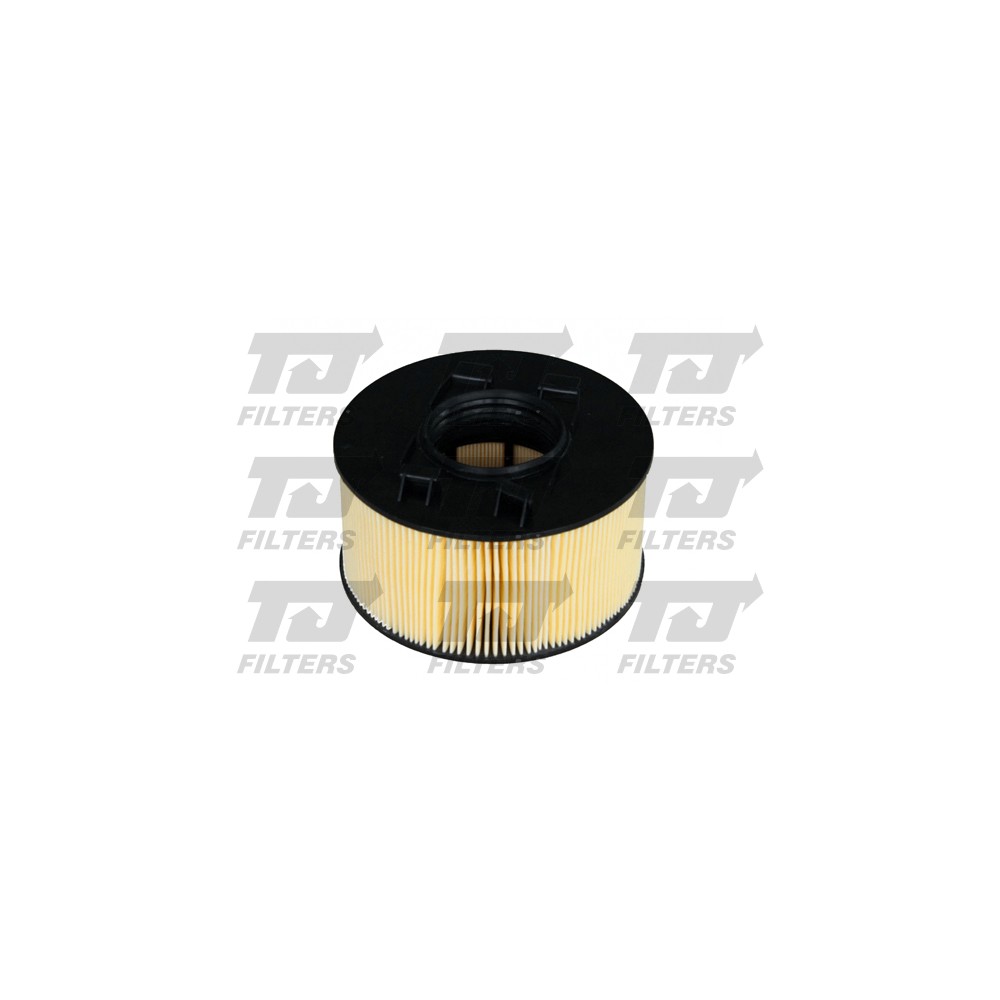 Image for TJ QFA0275 Air Filter