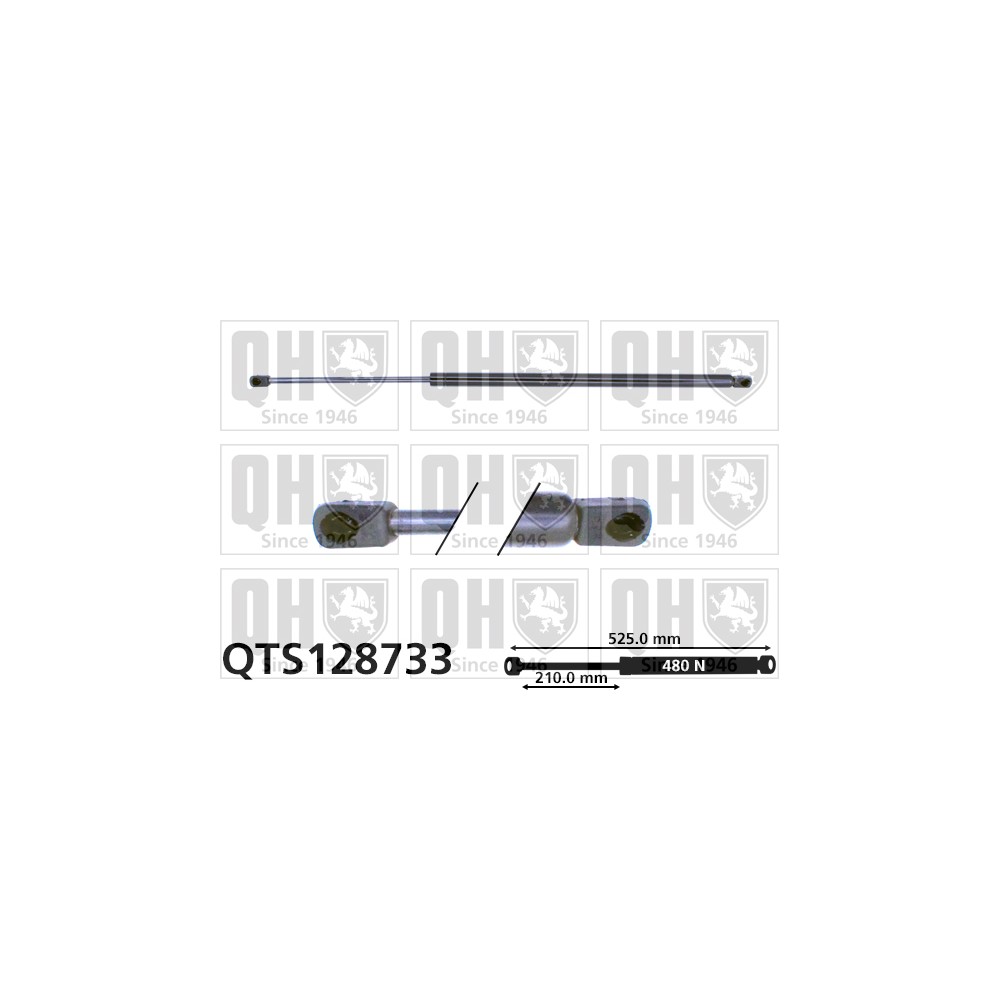 Image for QH QTS128733 Gas Spring