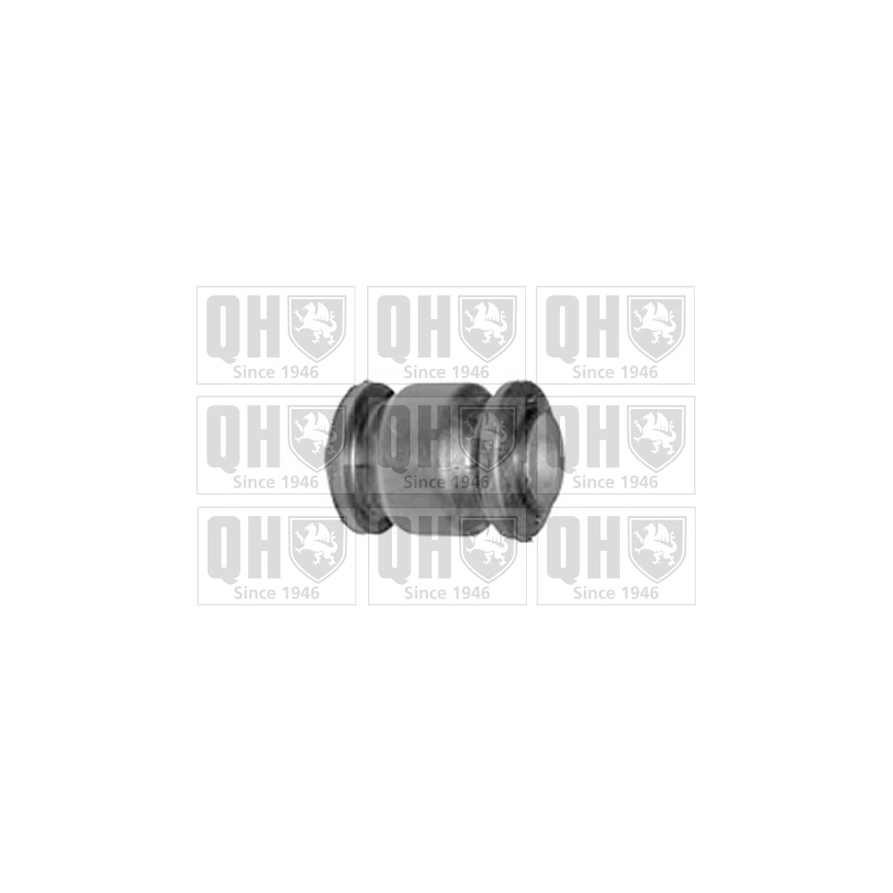 Image for QH EMS8362 Suspension Arm Bush - Front Lower LH & RH (Front)