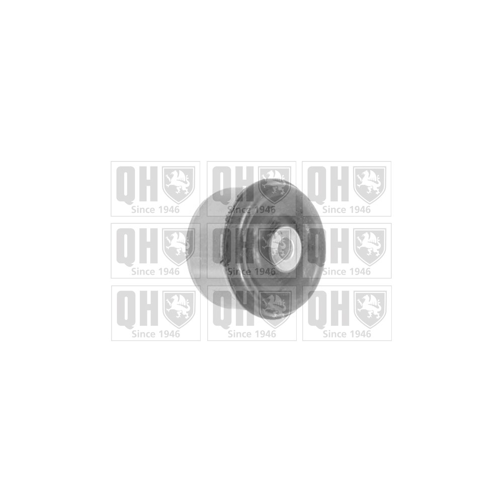 Image for QH EMS8424 Suspension Arm Bush - Rear LH & RH