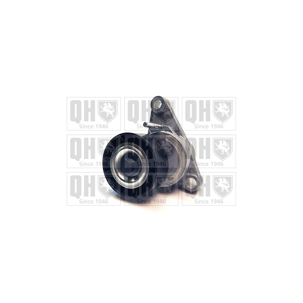 Image for QH QTA1383 DRIVE BELT TENSIONER