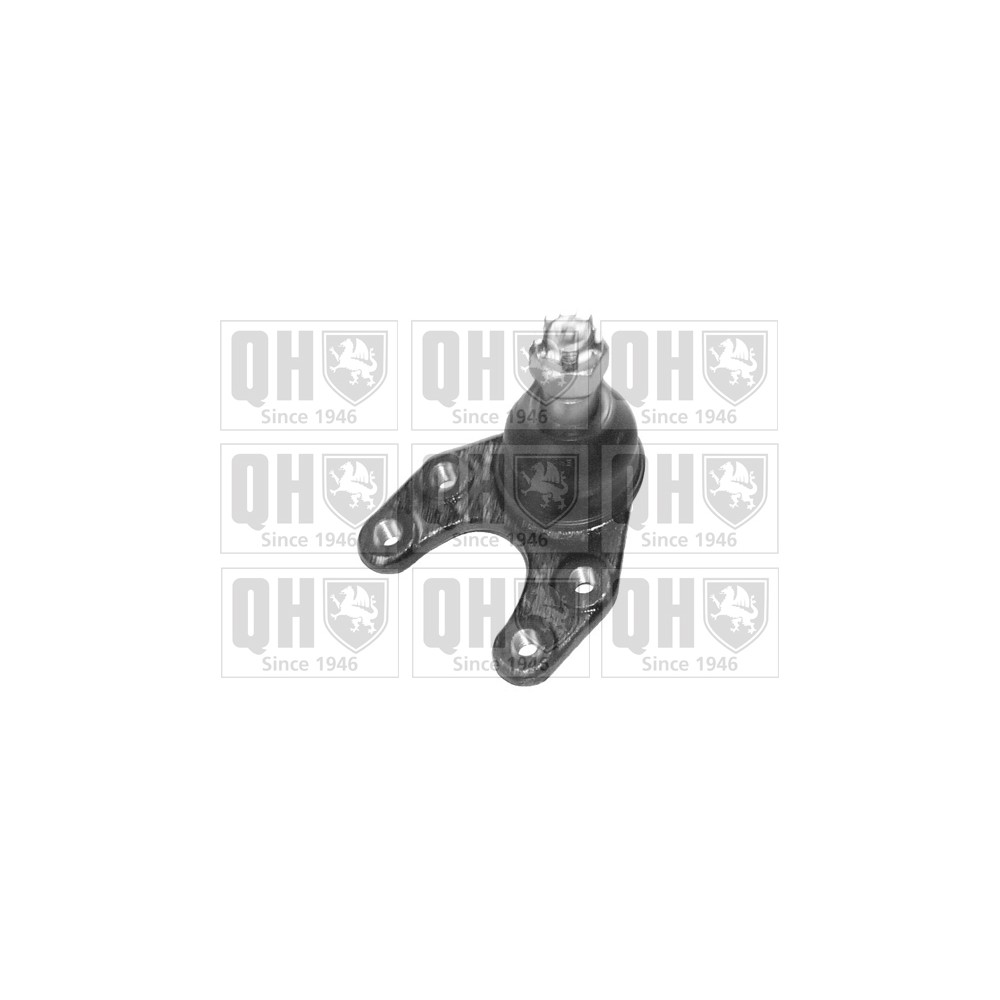 Image for QH QSJ9215S Ball Joint - Front Lower LH & RH