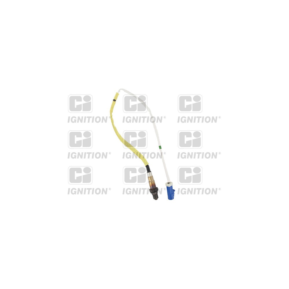 Image for Oxygen Sensor