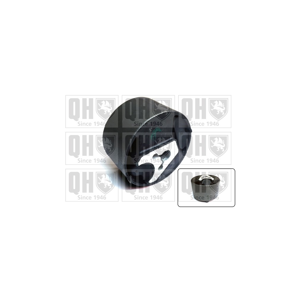 Image for QH EM4705 Engine Mounting