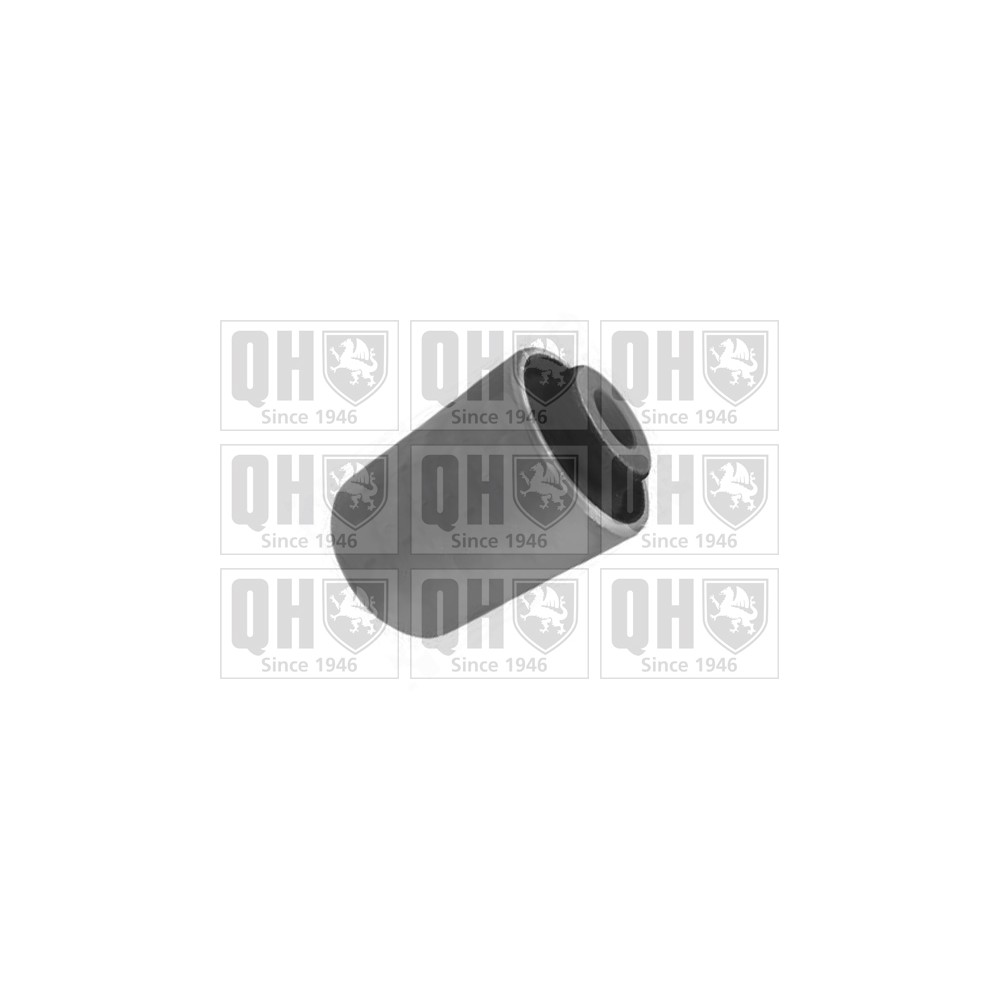 Image for QH EMS8528 Suspension Arm Bush - Front Lower LH & RH (Front)