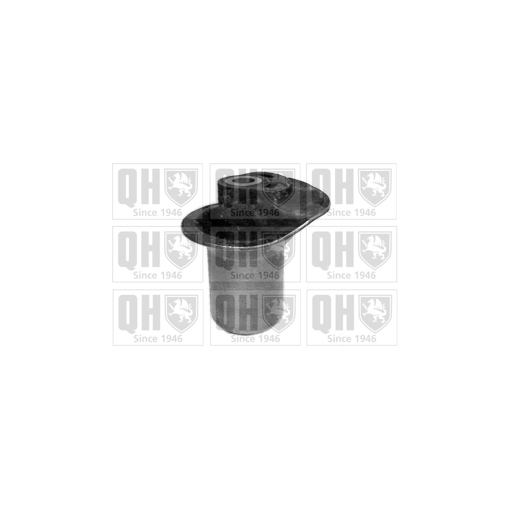 Image for QH EMS2434 Suspension Arm Bush - Rear LH & RH