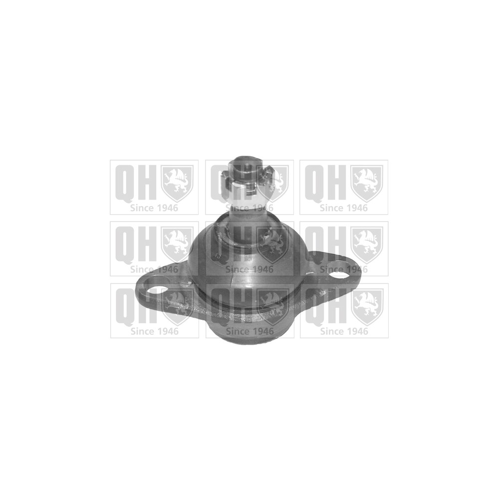 Image for QH QSJ1808S Ball Joint - Front Lower LH & RH