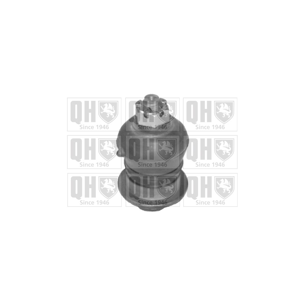 Image for QH QSJ1794S Ball Joint - Front Lower LH & RH