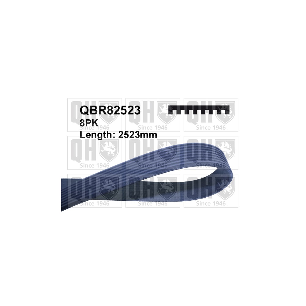 Image for QH QBR82523 Multi-ribbed belt