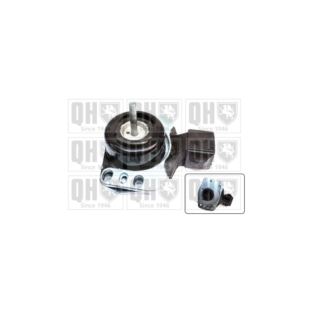 Image for QH EM4652 Engine Mounting