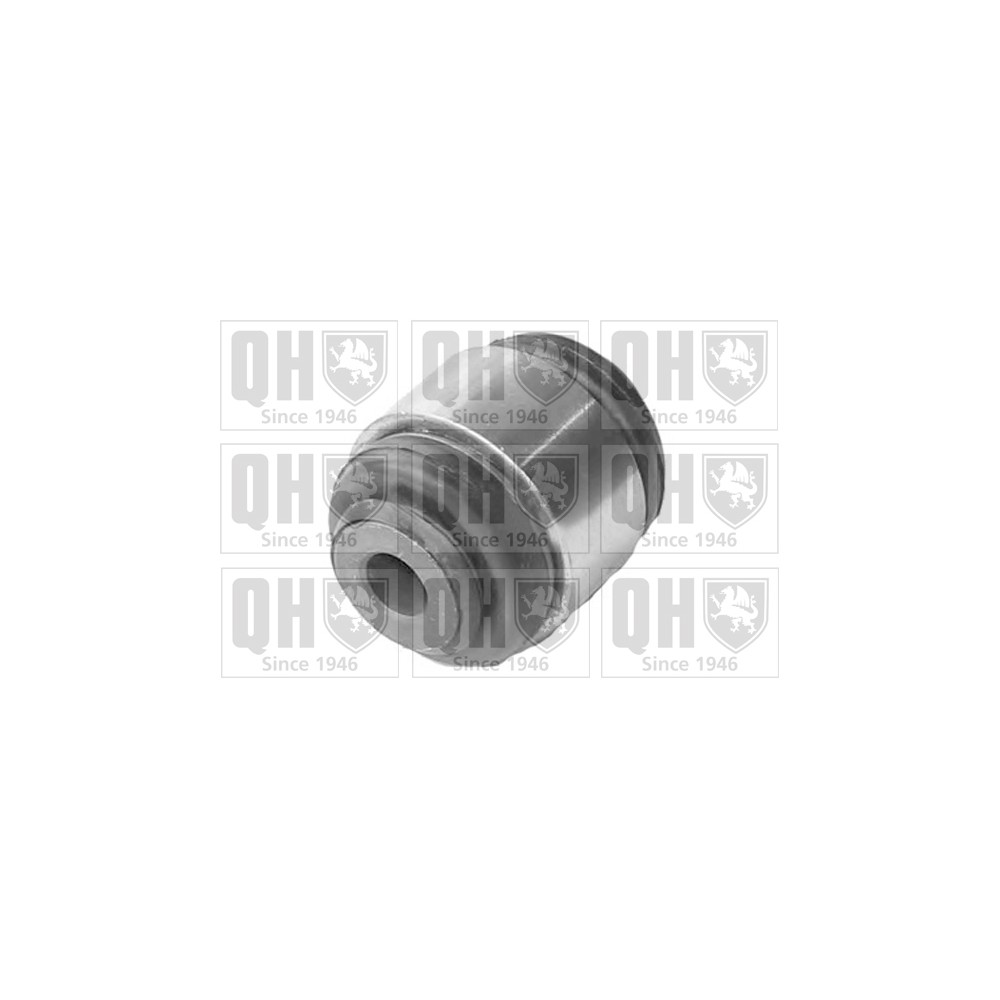 Image for QH EMS8420 Suspension Arm Bush - Rear LH & RH