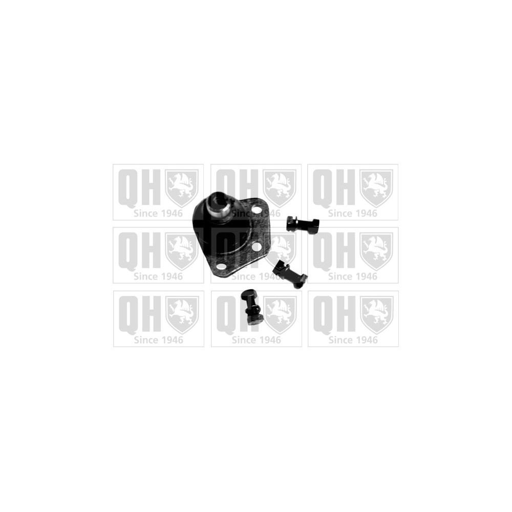 Image for QH QSJ793S Ball Joint - Front Lower LH & RH