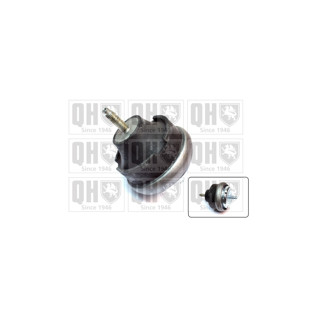 Image for QH EM4259 Engine Mounting