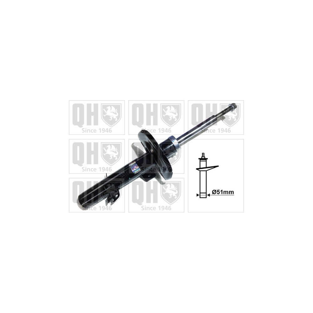 Image for QH QAG181064 Shock Absorber